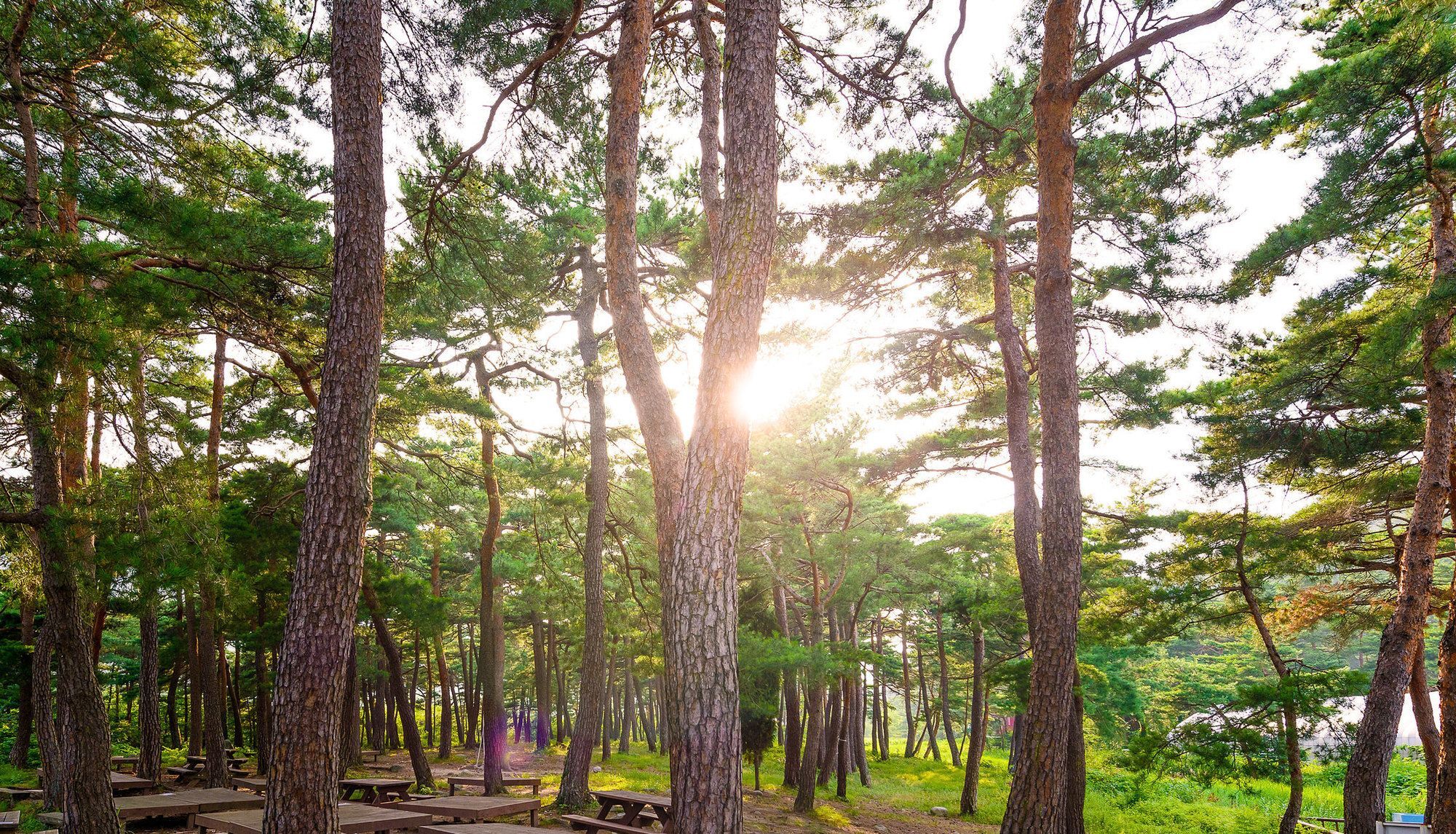Seorak Pension Sokcho Exterior photo